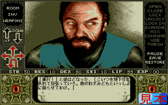 エルヴァイラプレイ画面４