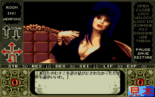 エルヴァイラプレイ画面５