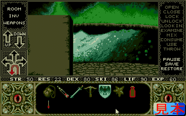 エルヴァイラプレイ画面１３