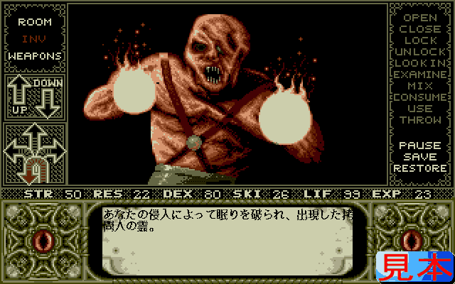 エルヴァイラプレイ画面８