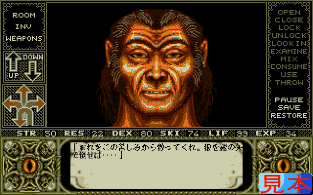 エルヴァイラプレイ画面７