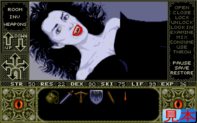 エルヴァイラプレイ画面６