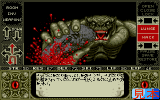 エルヴァイラプレイ画面９